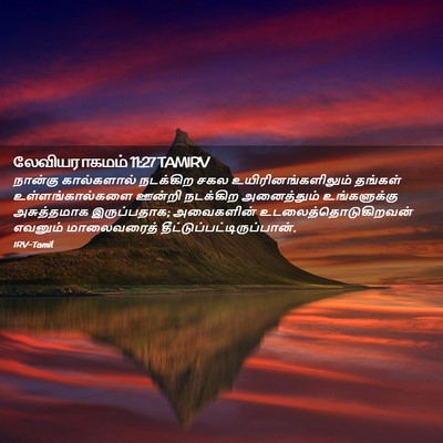 Picture 02 - லேவியராகமம் 11:27 TAMIRV - நான்கு கால்களால் - Bible Verse Picture