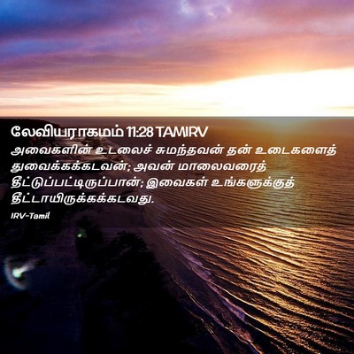 Picture 02 - லேவியராகமம் 11:28 TAMIRV - அவைகளின் உடலைச் - Bible Verse Picture