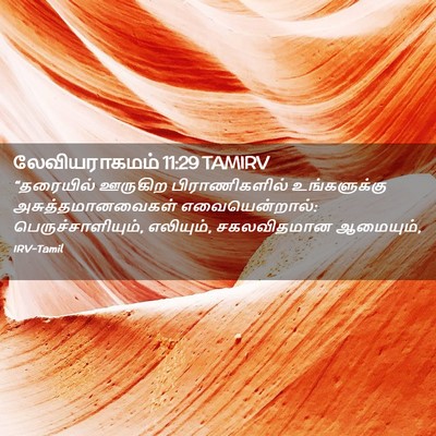 Picture 02 - லேவியராகமம் 11:29 TAMIRV - “தரையில் ஊருகிற - Bible Verse Picture