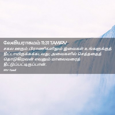 Picture 02 - லேவியராகமம் 11:31 TAMIRV - சகல ஊரும் - Bible Verse Picture