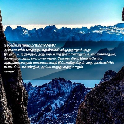 Picture 02 - லேவியராகமம் 11:32 TAMIRV - அவைகளில் செத்தது, - Bible Verse Picture