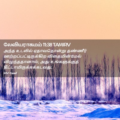 Picture 02 - லேவியராகமம் 11:38 TAMIRV - அந்த உடலில் - Bible Verse Picture