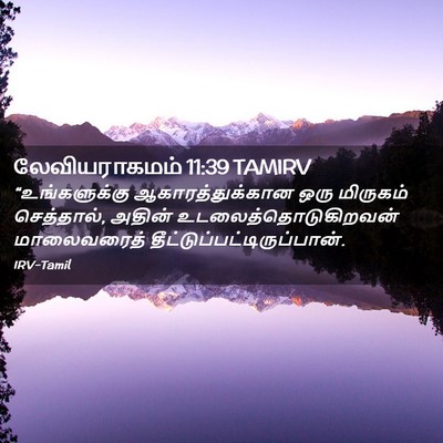 Picture 02 - லேவியராகமம் 11:39 TAMIRV - “உங்களுக்கு - Bible Verse Picture