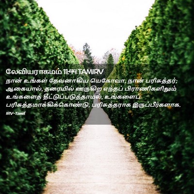 Picture 02 - லேவியராகமம் 11:44 TAMIRV - நான் உங்கள் - Bible Verse Picture