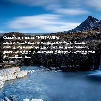 Picture 02 - லேவியராகமம் 11:45 TAMIRV - நான் உங்கள் - Bible Verse Picture