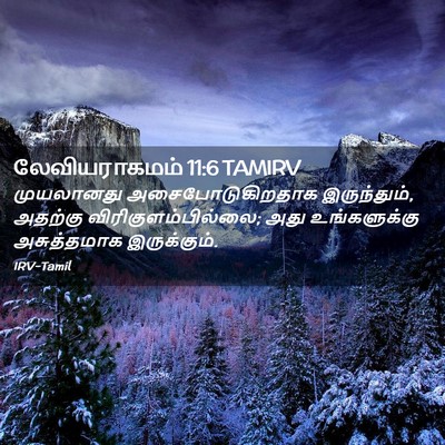 Picture 02 - லேவியராகமம் 11:6 TAMIRV - முயலானது - Bible Verse Picture