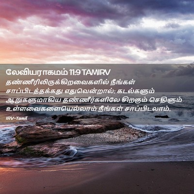 Picture 02 - லேவியராகமம் 11:9 TAMIRV -  - Bible Verse Picture