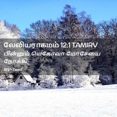 Picture 02 - லேவியராகமம் 12:1 TAMIRV - பின்னும் யெகோவா - Bible Verse Picture