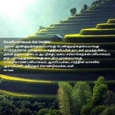 Picture 02 - லேவியராகமம் 12:6 TAMIRV - “அவள் - Bible Verse Picture