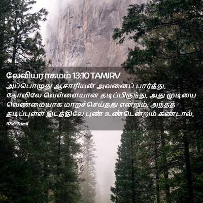 Picture 02 - லேவியராகமம் 13:10 TAMIRV - அப்பொழுது - Bible Verse Picture