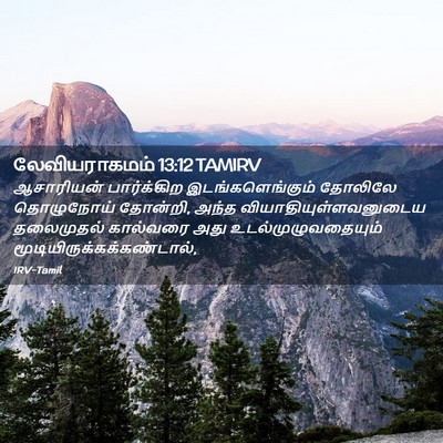 Picture 02 - லேவியராகமம் 13:12 TAMIRV - ஆசாரியன் - Bible Verse Picture