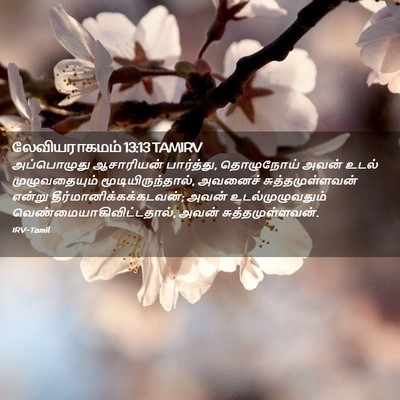 Picture 02 - லேவியராகமம் 13:13 TAMIRV - அப்பொழுது - Bible Verse Picture