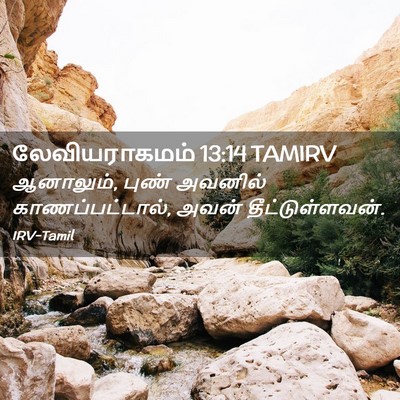 Picture 02 - லேவியராகமம் 13:14 TAMIRV - ஆனாலும், புண் - Bible Verse Picture