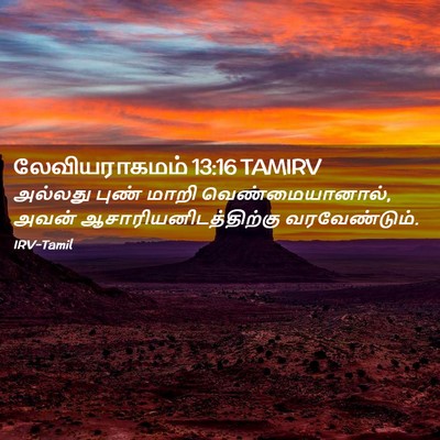 Picture 02 - லேவியராகமம் 13:16 TAMIRV - அல்லது புண் மாறி - Bible Verse Picture