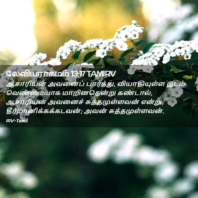 Picture 02 - லேவியராகமம் 13:17 TAMIRV - ஆசாரியன் அவனைப் - Bible Verse Picture