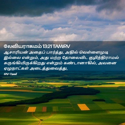 Picture 02 - லேவியராகமம் 13:21 TAMIRV - ஆசாரியன் அதைப் - Bible Verse Picture