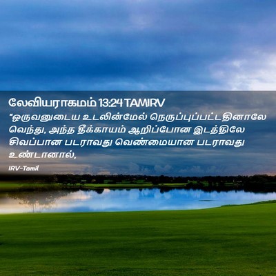 Picture 02 - லேவியராகமம் 13:24 TAMIRV - “ஒருவனுடைய - Bible Verse Picture