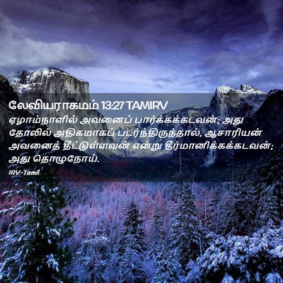Picture 02 - லேவியராகமம் 13:27 TAMIRV - ஏழாம்நாளில் - Bible Verse Picture
