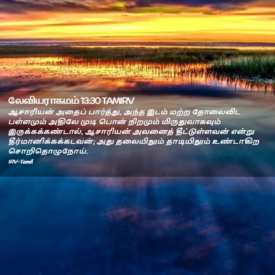Picture 02 - லேவியராகமம் 13:30 TAMIRV - ஆசாரியன் அதைப் - Bible Verse Picture