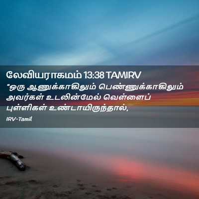 Picture 02 - லேவியராகமம் 13:38 TAMIRV - “ஒரு - Bible Verse Picture