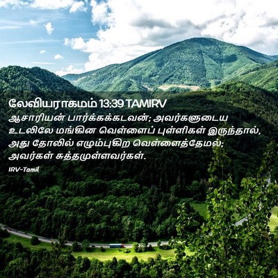 Picture 02 - லேவியராகமம் 13:39 TAMIRV - ஆசாரியன் - Bible Verse Picture