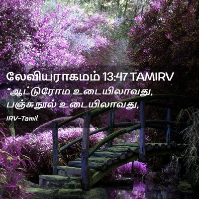 Picture 02 - லேவியராகமம் 13:47 TAMIRV - “ஆட்டுரோம - Bible Verse Picture