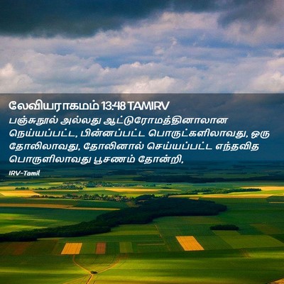 Picture 02 - லேவியராகமம் 13:48 TAMIRV - பஞ்சுநூல் அல்லது - Bible Verse Picture