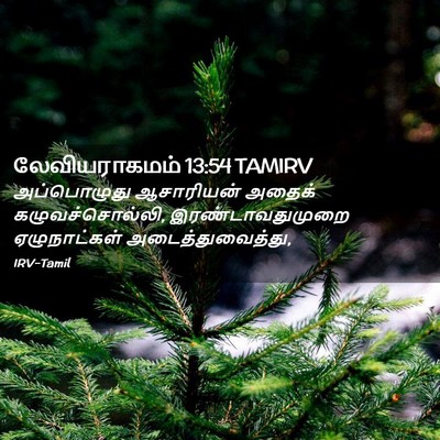 Picture 02 - லேவியராகமம் 13:54 TAMIRV - அப்பொழுது - Bible Verse Picture