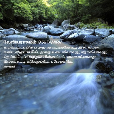 Picture 02 - லேவியராகமம் 13:56 TAMIRV - கழுவப்பட்டபின்பு - Bible Verse Picture