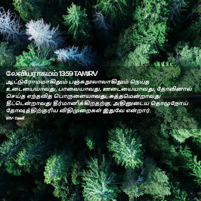 Picture 02 - லேவியராகமம் 13:59 TAMIRV - ஆட்டுரோமமாகிலும் - Bible Verse Picture
