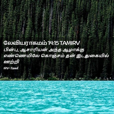 Picture 02 - லேவியராகமம் 14:15 TAMIRV - பின்பு, ஆசாரியன் - Bible Verse Picture