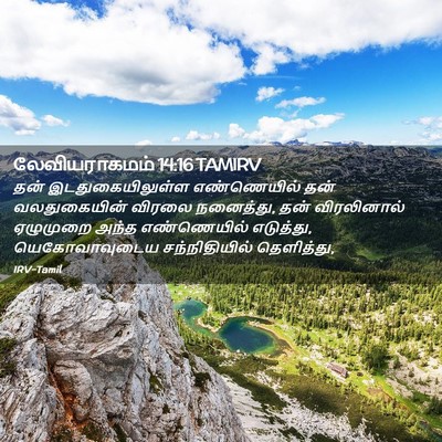 Picture 02 - லேவியராகமம் 14:16 TAMIRV - தன் இடதுகையிலுள்ள - Bible Verse Picture