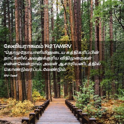 Picture 02 - லேவியராகமம் 14:2 TAMIRV -  - Bible Verse Picture