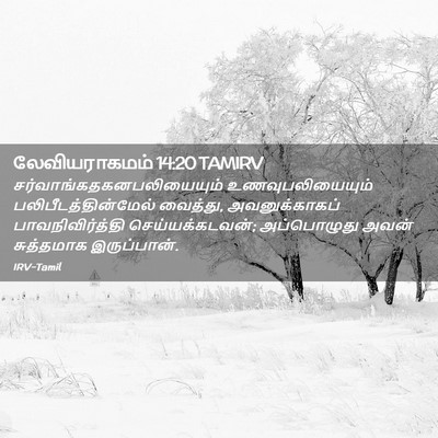 Picture 02 - லேவியராகமம் 14:20 TAMIRV -  - Bible Verse Picture
