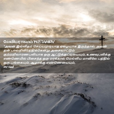Picture 02 - லேவியராகமம் 14:21 TAMIRV - “அவன் இவ்விதம் - Bible Verse Picture