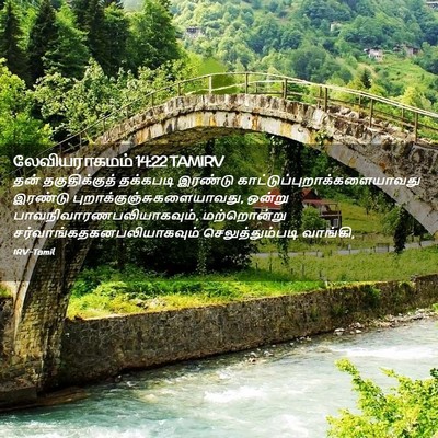 Picture 02 - லேவியராகமம் 14:22 TAMIRV - தன் தகுதிக்குத் - Bible Verse Picture
