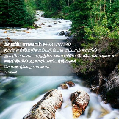Picture 02 - லேவியராகமம் 14:23 TAMIRV - தான் - Bible Verse Picture