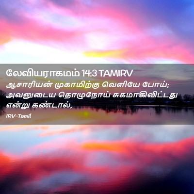 Picture 02 - லேவியராகமம் 14:3 TAMIRV - ஆசாரியன் - Bible Verse Picture