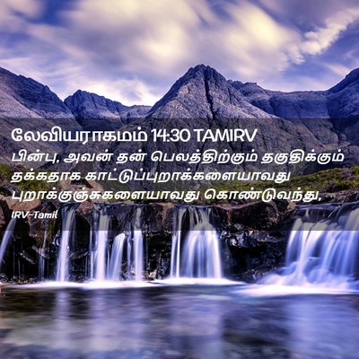 Picture 02 - லேவியராகமம் 14:30 TAMIRV - பின்பு, அவன் தன் - Bible Verse Picture