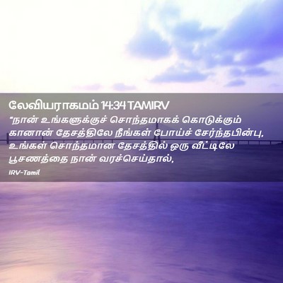 Picture 02 - லேவியராகமம் 14:34 TAMIRV - “நான் - Bible Verse Picture