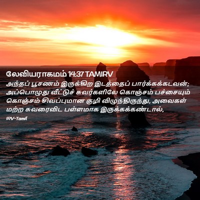 Picture 02 - லேவியராகமம் 14:37 TAMIRV - அந்தப் பூசணம் - Bible Verse Picture