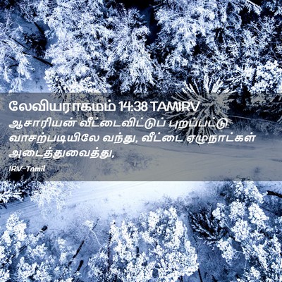 Picture 02 - லேவியராகமம் 14:38 TAMIRV - ஆசாரியன் - Bible Verse Picture