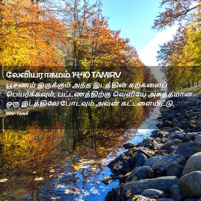 Picture 02 - லேவியராகமம் 14:40 TAMIRV - பூசணம் இருக்கும் - Bible Verse Picture