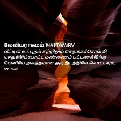 Picture 02 - லேவியராகமம் 14:41 TAMIRV - வீட்டின் உட்புறம் - Bible Verse Picture