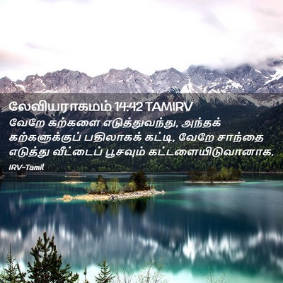 Picture 02 - லேவியராகமம் 14:42 TAMIRV - வேறே கற்களை - Bible Verse Picture