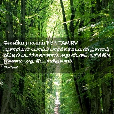 Picture 02 - லேவியராகமம் 14:44 TAMIRV - ஆசாரியன் போய்ப் - Bible Verse Picture