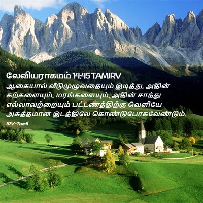 Picture 02 - லேவியராகமம் 14:45 TAMIRV - ஆகையால் - Bible Verse Picture
