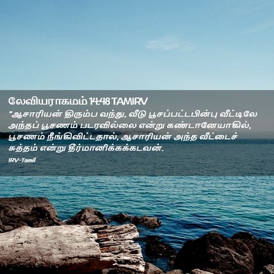 Picture 02 - லேவியராகமம் 14:48 TAMIRV - “ஆசாரியன் திரும்ப - Bible Verse Picture