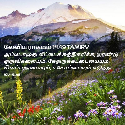 Picture 02 - லேவியராகமம் 14:49 TAMIRV - அப்பொழுது - Bible Verse Picture