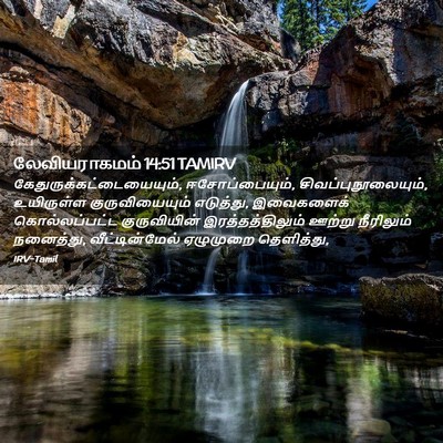 Picture 02 - லேவியராகமம் 14:51 TAMIRV -  - Bible Verse Picture